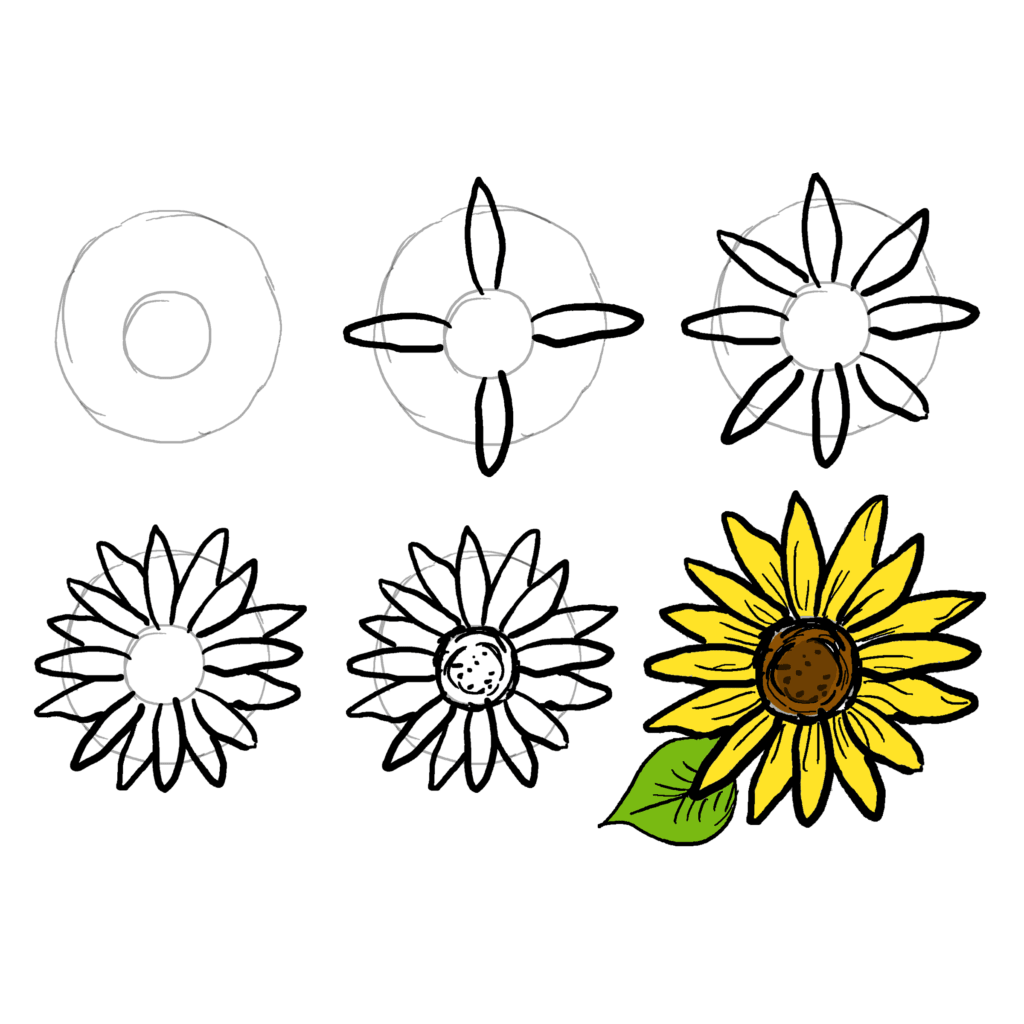 How to draw Drawing simple sunflowers (3)