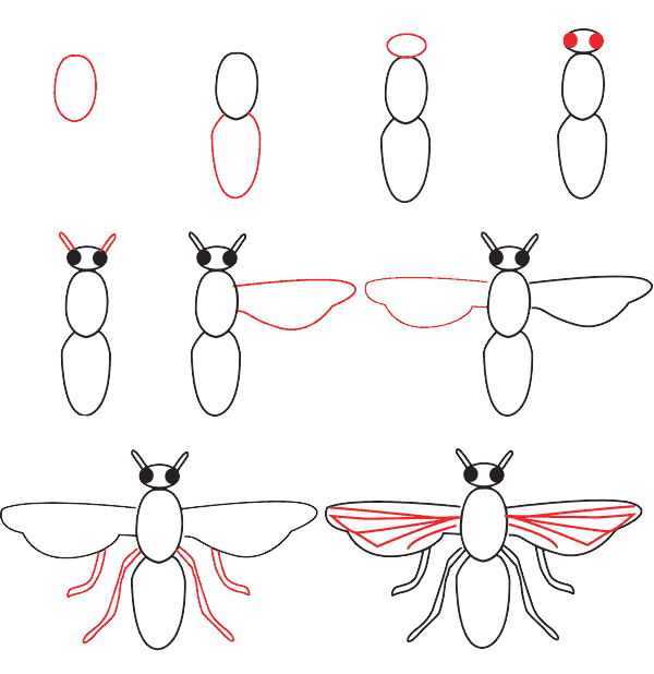 How to draw Fly