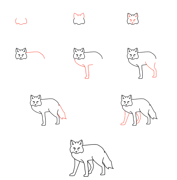 How to draw Fox