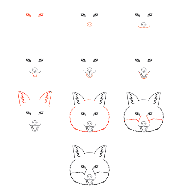How to draw Fox face
