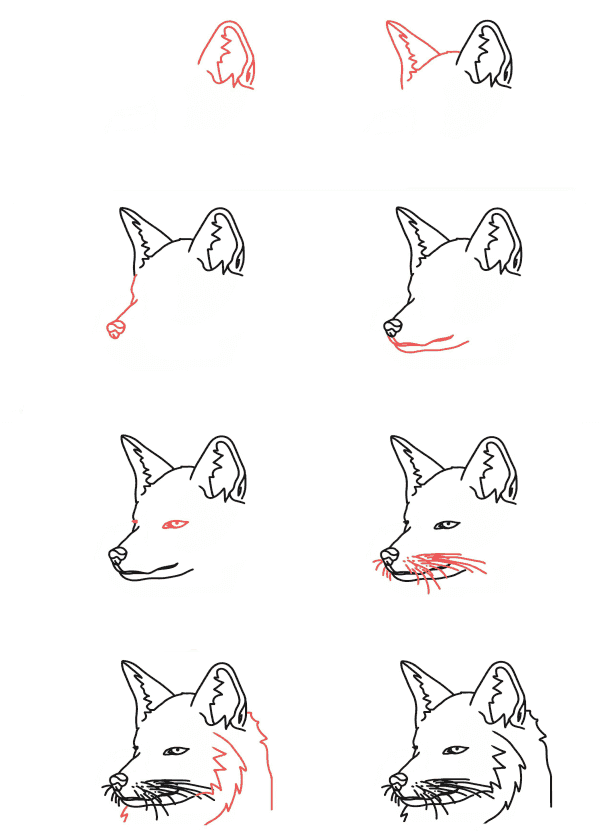 How to draw Fox head 2