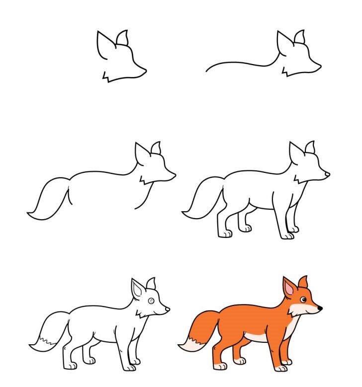 How to draw Fox idea 1