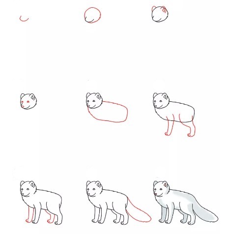 How to draw Fox idea 18