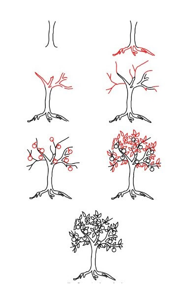How to draw Fruit trees (1)