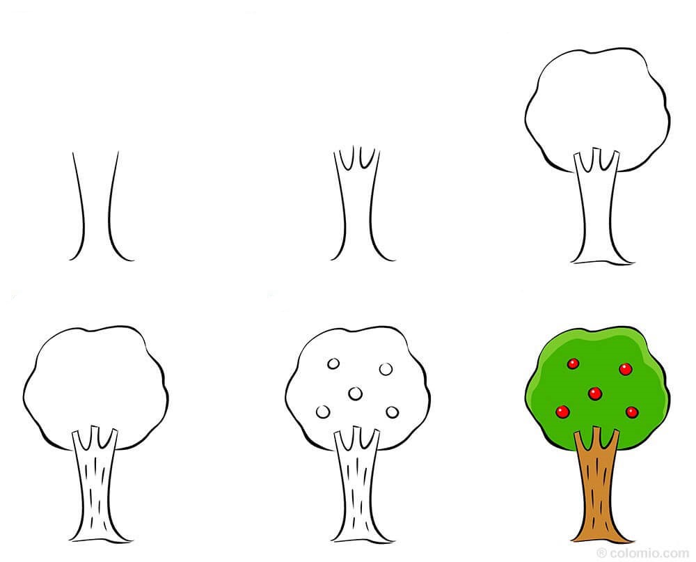 How to draw Fruit trees (2)