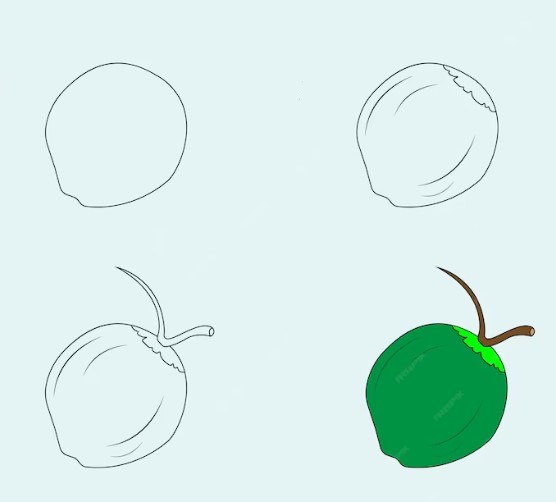 Green coconut Drawing Ideas