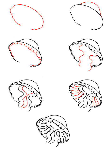 How to draw jellyfish-face-tutorial