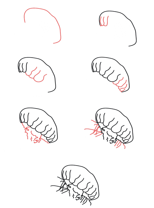 How to draw jellyfish-head-tutorial
