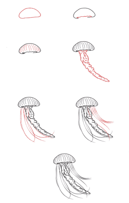 Jellyfish Serenity Drawing Ideas