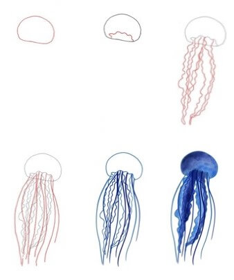Jellyfish Tranquil Drawing Ideas