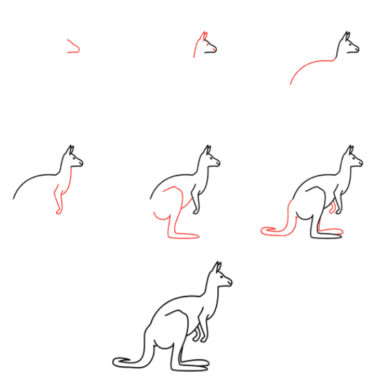 Kangaroo Drawing Ideas