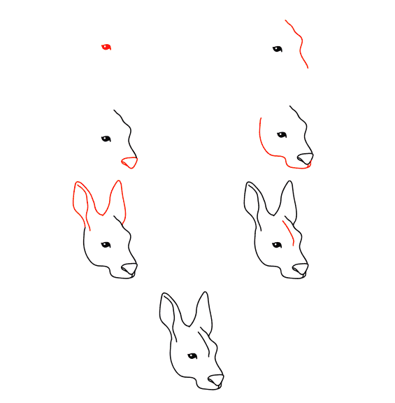 Kangaroo face Drawing Ideas