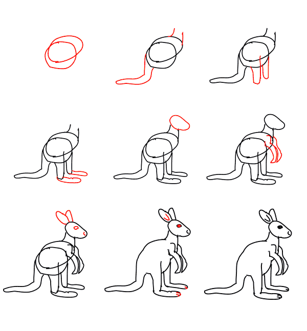 How to draw Kangaroo for kids (1)