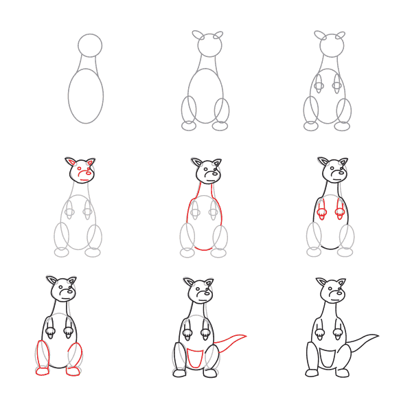 How to draw Kangaroo for kids (3)