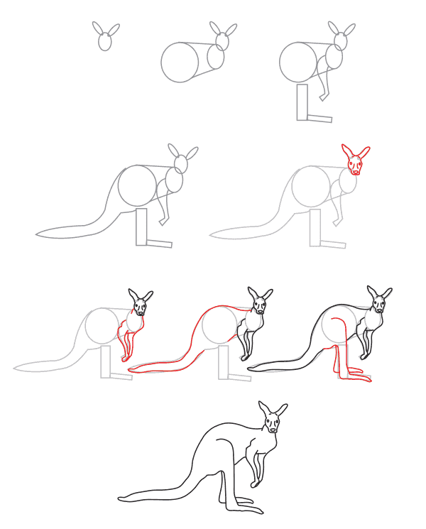 Kangaroo for kids (4) Drawing Ideas