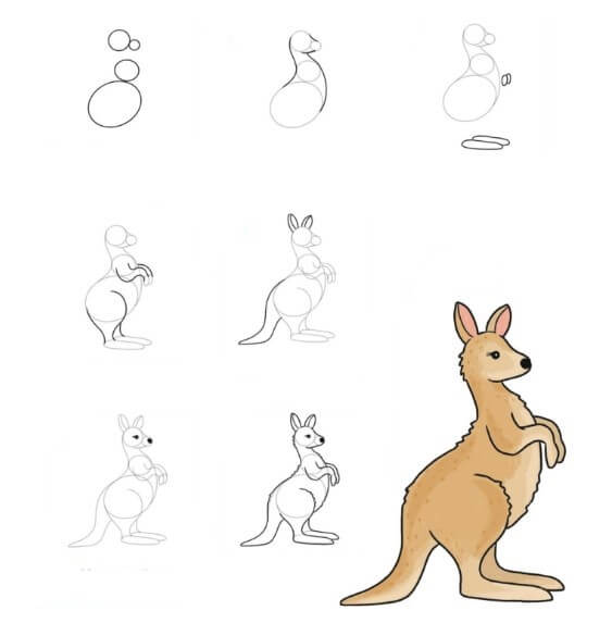 How to draw Kangaroo idea (11)