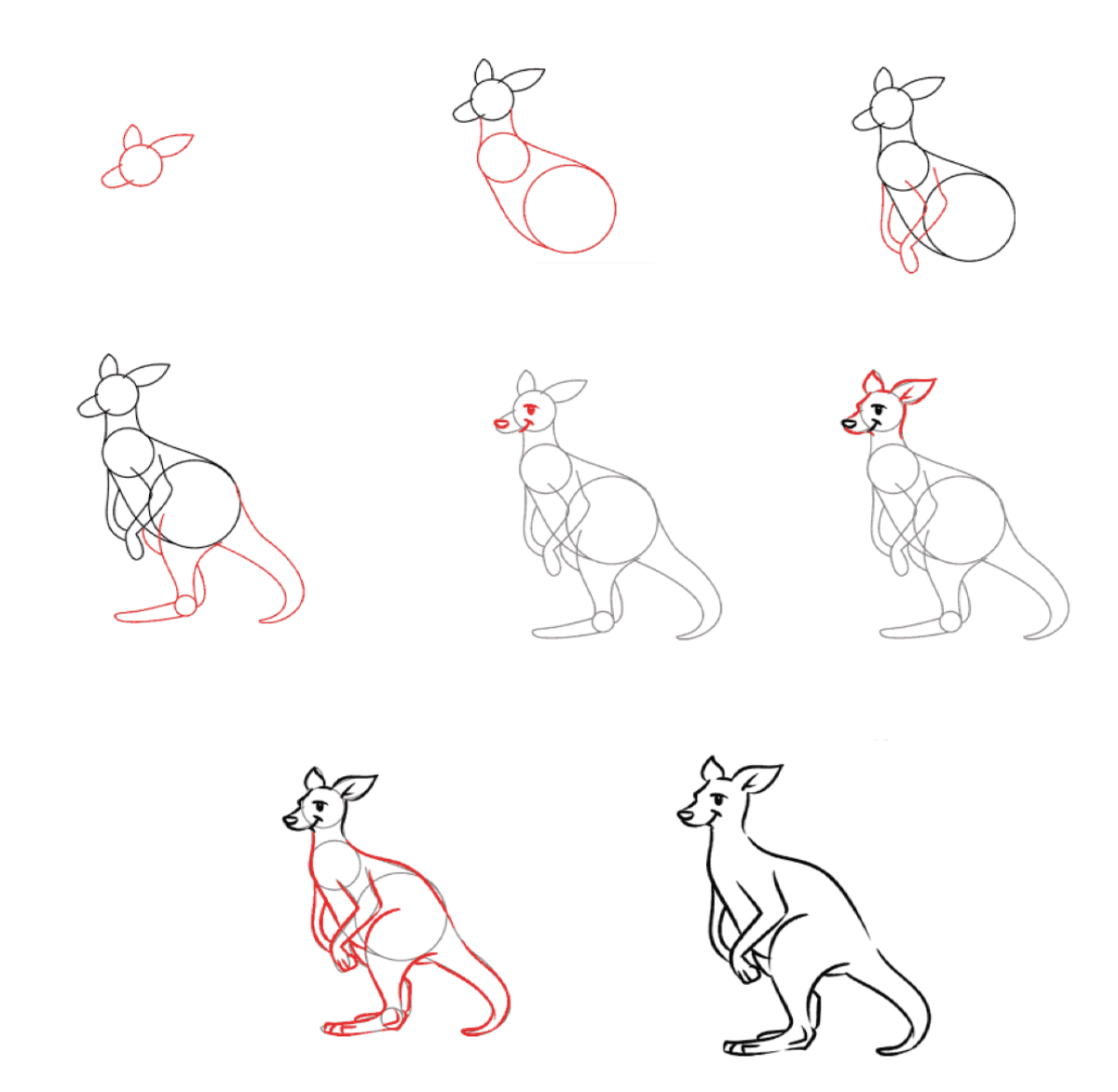 How to draw Kangaroo idea (12)