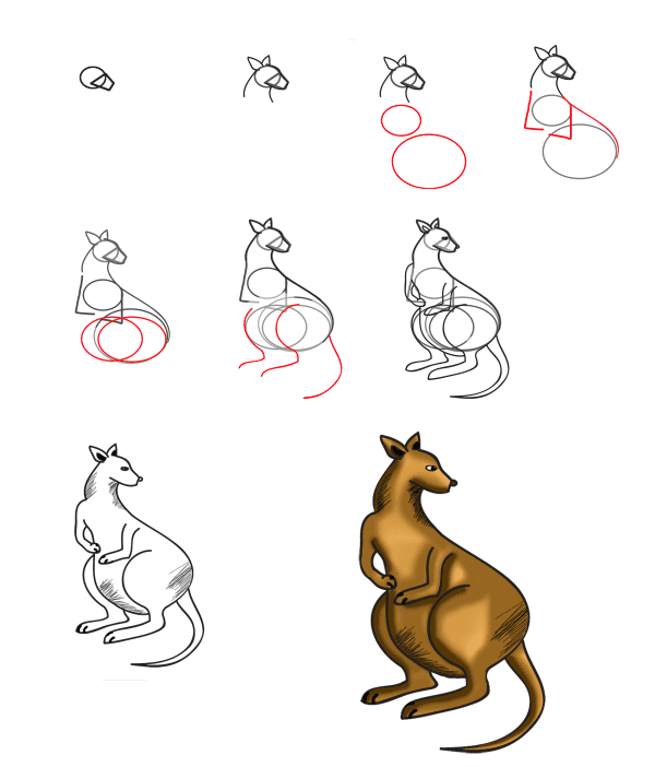 How to draw Kangaroo idea (3)
