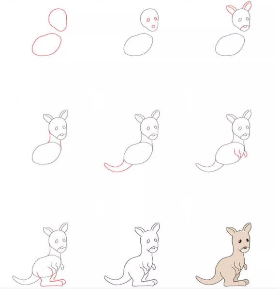 How to draw Kangaroo idea (6)