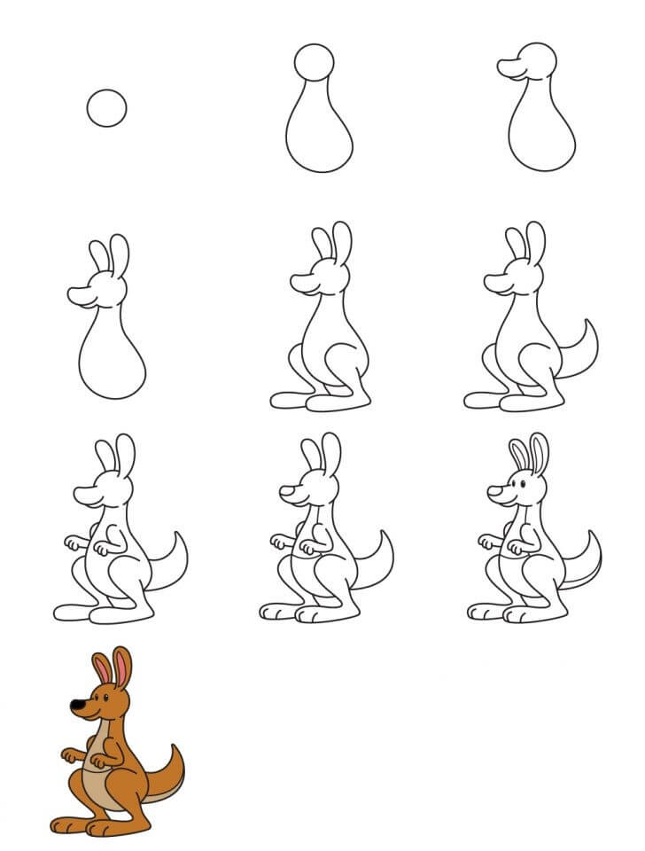 How to draw Kangaroo idea (7)