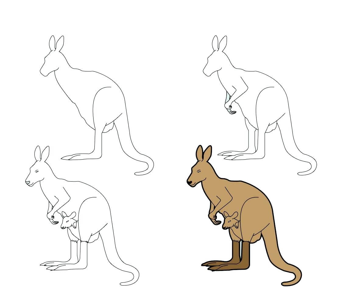 How to draw Kangaroo idea (9)