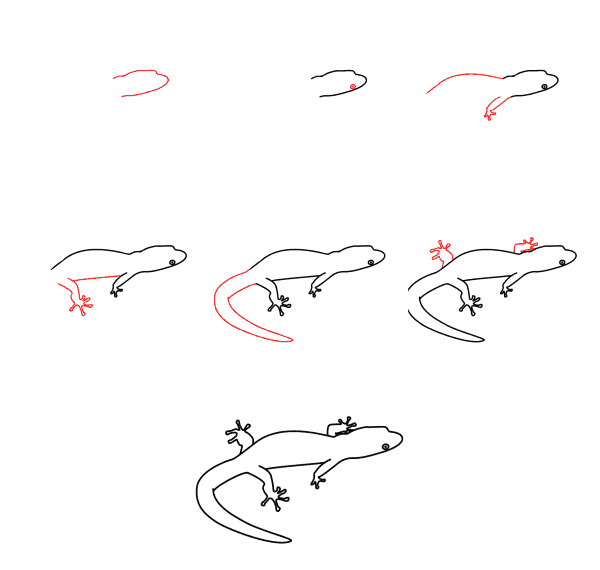 How to draw Lizard