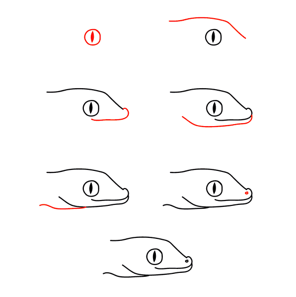 How to draw Lizard face