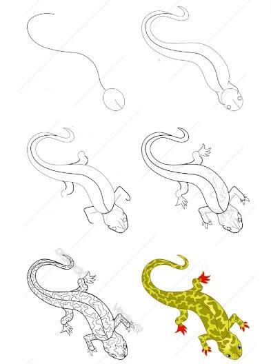 How to draw Lizard idea 11