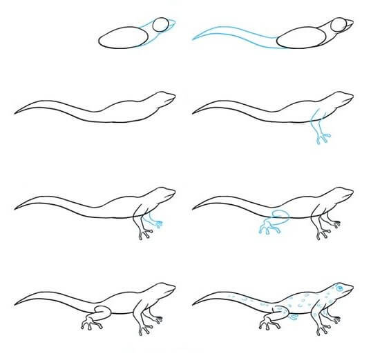 Lizard idea 4 Drawing Ideas