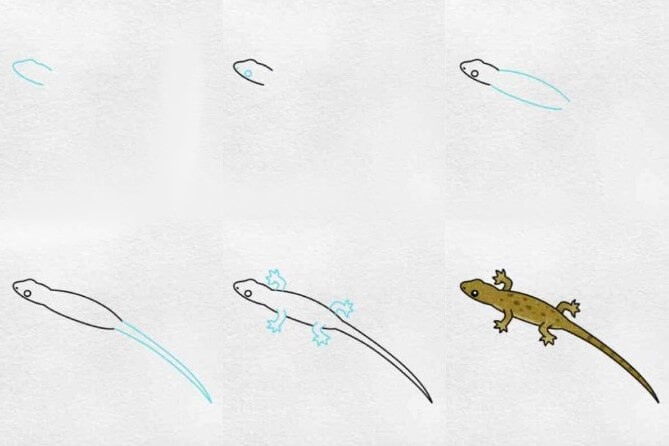 How to draw Lizard idea 6