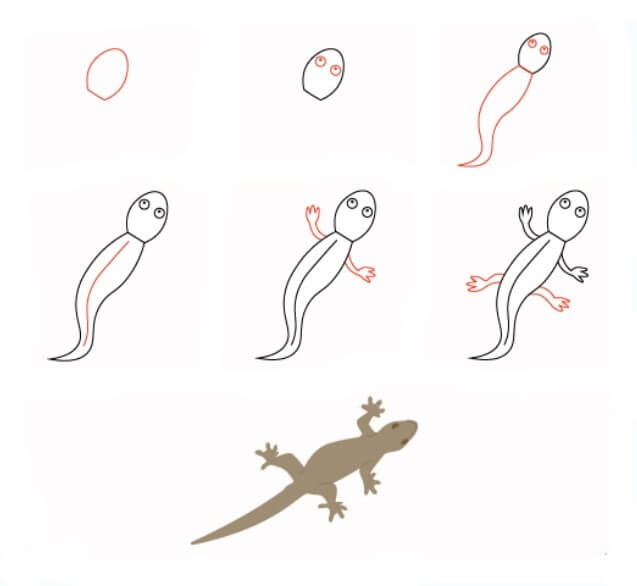 How to draw Lizard idea 9