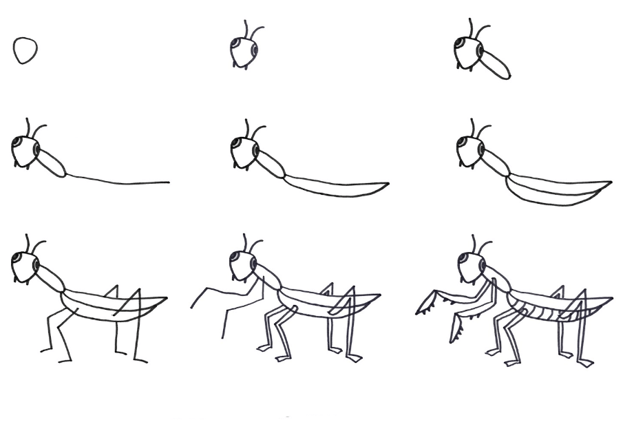 Mantis idea (1) Drawing Ideas
