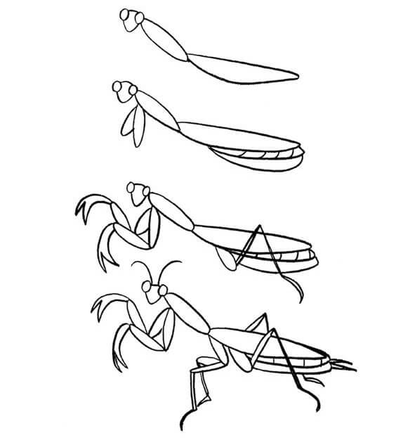 Mantis idea (11) Drawing Ideas
