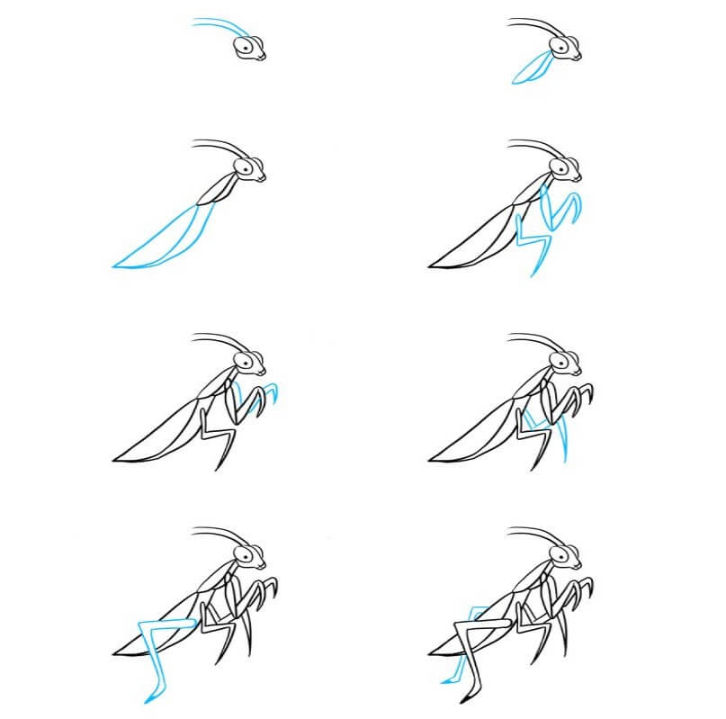 Mantis idea (2) Drawing Ideas