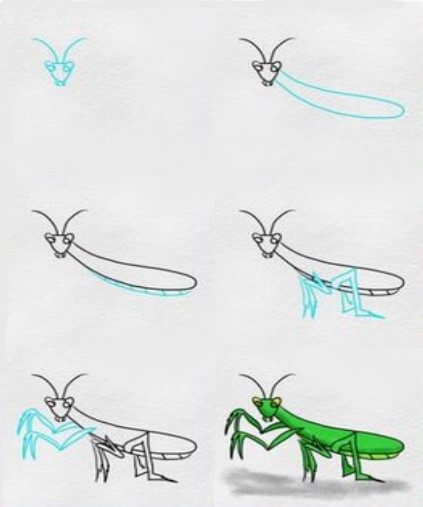 Mantis idea (3) Drawing Ideas