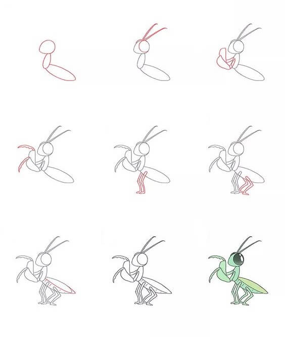 Mantis idea (4) Drawing Ideas