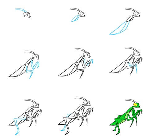 Mantis idea (6) Drawing Ideas