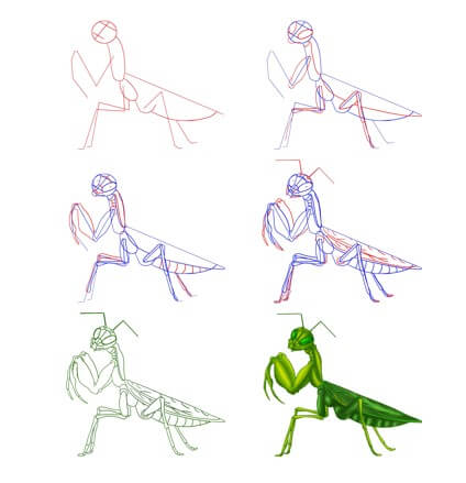 Mantis idea (8) Drawing Ideas