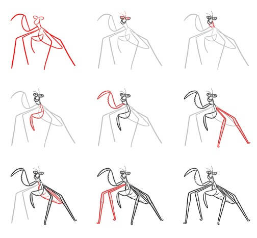 Mantis idea (9) Drawing Ideas