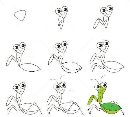 Mantis smile Drawing Ideas