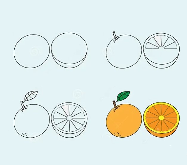 How to draw Orange cut in half 2