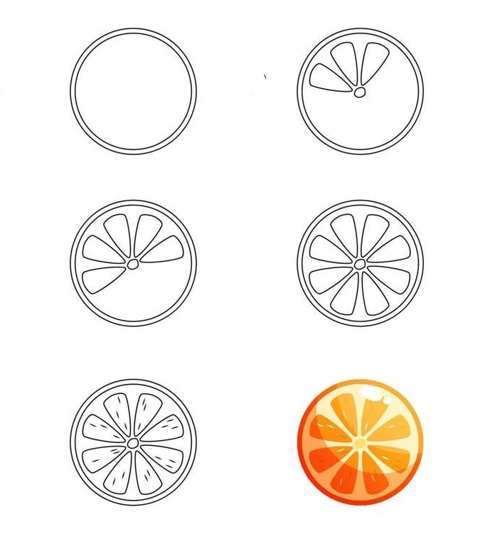 Orange cut in half 4 Drawing Ideas