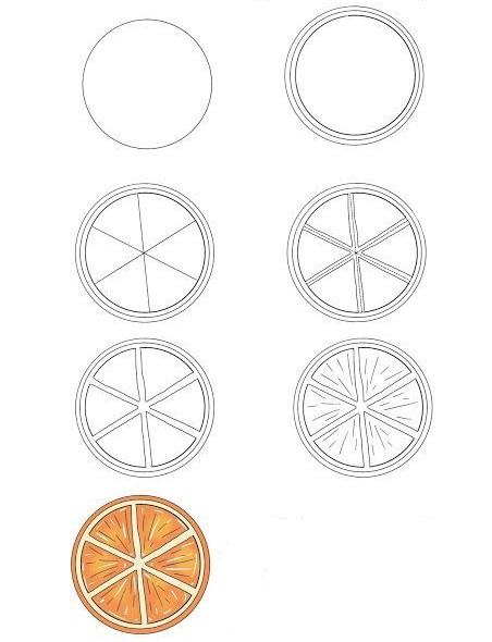 How to draw Orange cut in half