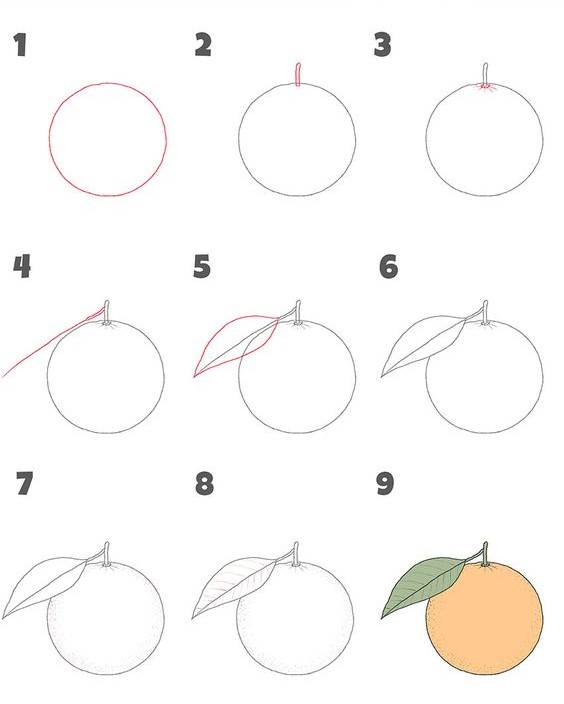 How to draw Orange idea (1)