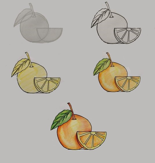 How to draw Orange idea (6)