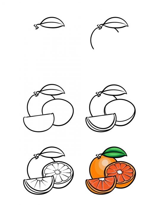 How to draw Oranges are cut in many ways