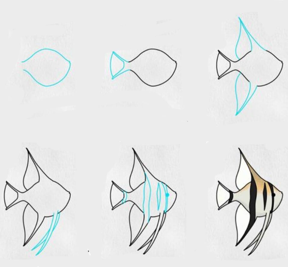 How to draw Ornamental fish 1