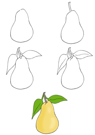 Pear idea (6) Drawing Ideas