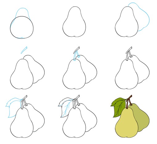Pear Drawing Ideas