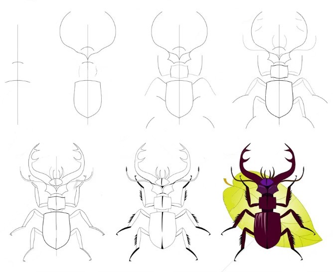 How to draw Powerful beetle